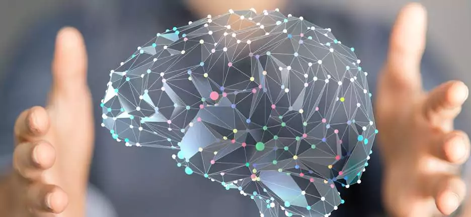 Évaluations neuropsychologiques